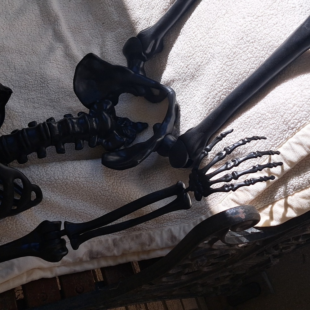 👻 4 Skeletos New But On Display - Picture 5 of 8